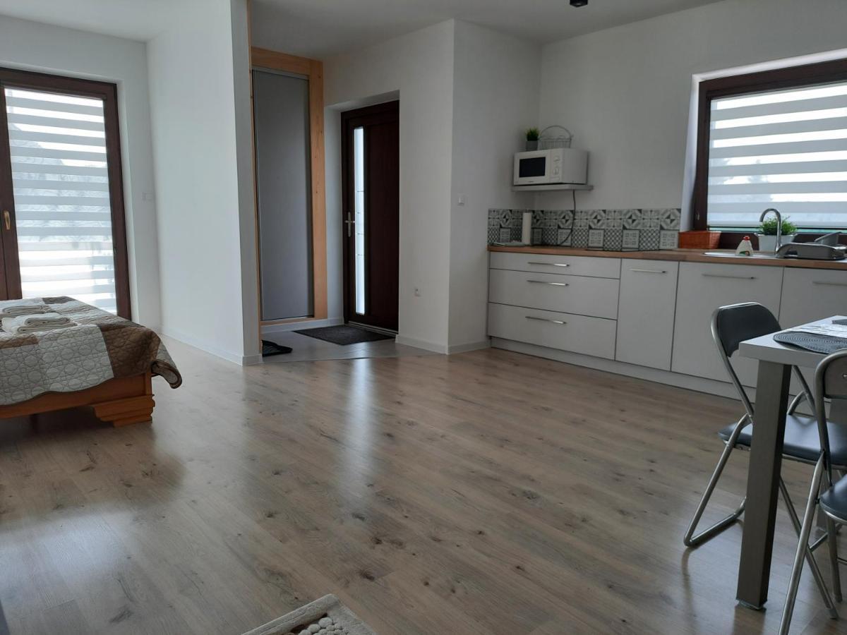Apartamenty U Piotra ツァルニ・ドゥナイェツ エクステリア 写真