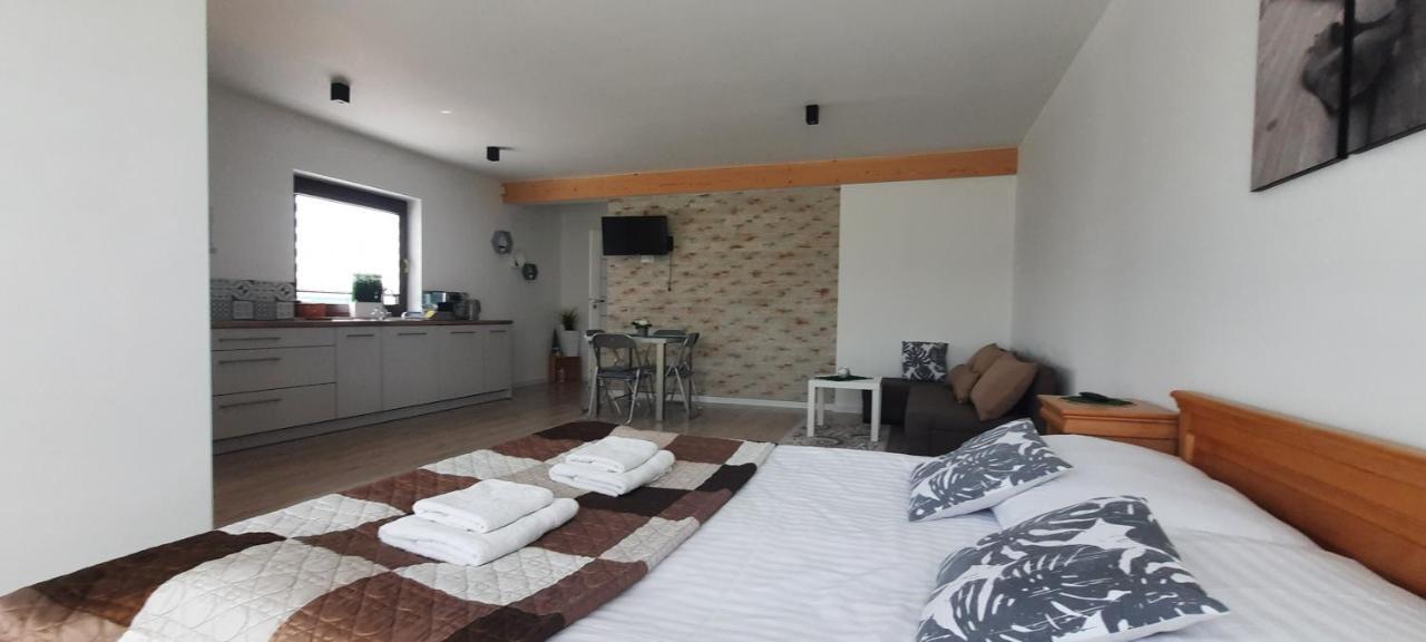 Apartamenty U Piotra ツァルニ・ドゥナイェツ エクステリア 写真