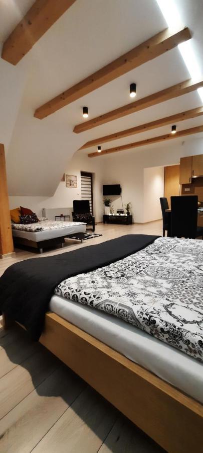 Apartamenty U Piotra ツァルニ・ドゥナイェツ エクステリア 写真