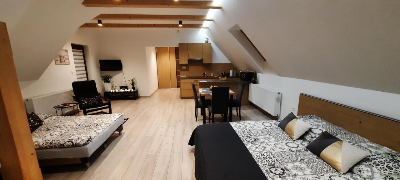 Apartamenty U Piotra ツァルニ・ドゥナイェツ エクステリア 写真