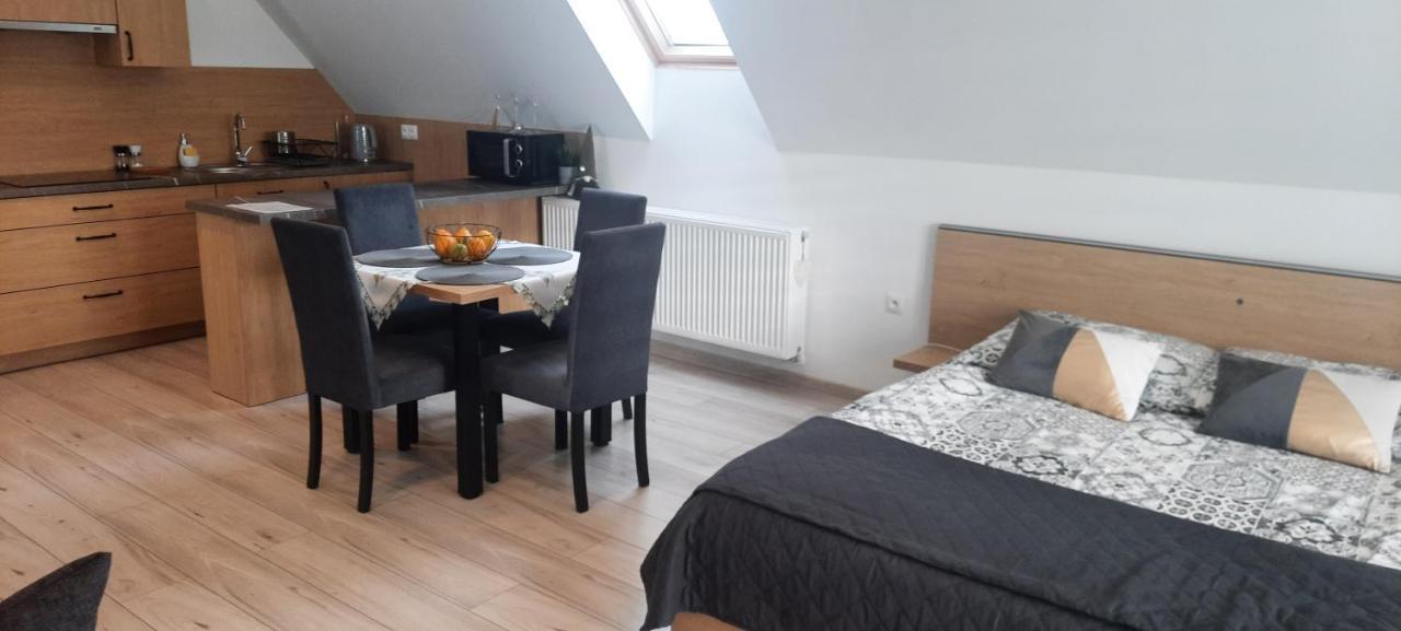 Apartamenty U Piotra ツァルニ・ドゥナイェツ エクステリア 写真